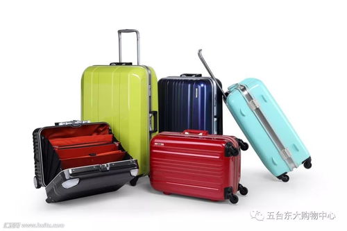 升學季箱約美麗包，啟航夢想新篇章